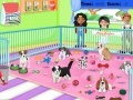 Jwèt Puppy Pet Care