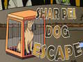Jwèt Shar Pei Dog Escape