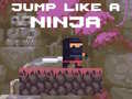 Jwèt Jump Like a Ninja