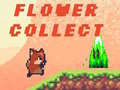 Jwèt Flower Collect