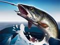 Jwèt Ice Fishing 3D
