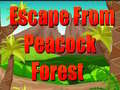 Jwèt Escape From Peacock Forest