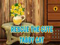 Jwèt Rescue The Cute Tabby Cat