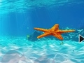 Jwèt Escape From Underwater Starfish