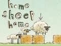 Jwèt Home Sheep Home