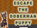 Jwèt Escape The Doberman Puppy