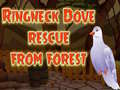 Jwèt Ringneck Dove Rescue From Forest
