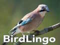 Jwèt BirdLingo