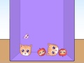 Jwèt Evolution of Cat Memes