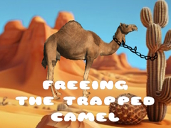 Jwèt Freeing the Trapped Camel