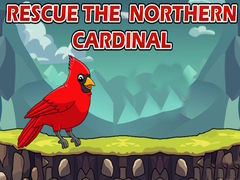 Jwèt Rescue The Northern Cardinal