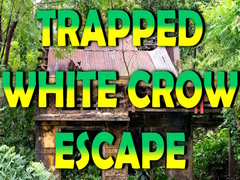 Jwèt Trapped White Crow Escape