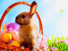 Jwèt Easter Time Hidden Stars