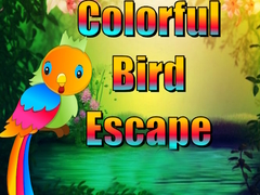 Jwèt Colorful Bird Escape