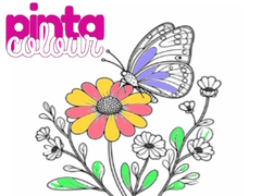 Jwèt Pinta Colour