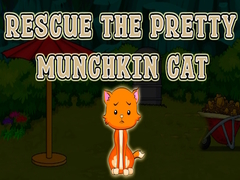 Jwèt Rescue The Pretty Munchkin Cat