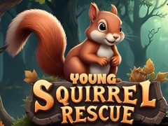 Jwèt Young Squirrel Rescue