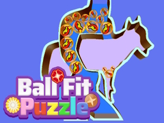 Jwèt Ball Fit Puzzle
