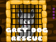 Jwèt Grey Dog Rescue