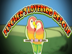 Jwèt Fischer's Lovebird Rescue