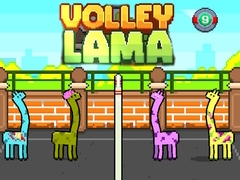 Jwèt Volley Lama