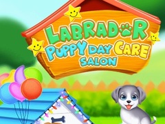 Jwèt Labrador Puppy Daycare Salon