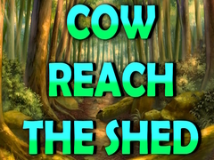 Jwèt Cow Reach the Shed