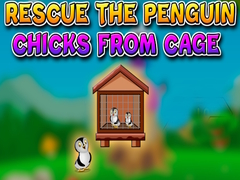 Jwèt Rescue the Penguin Chicks from Cage