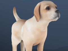 Jwèt IDLE Pet