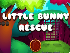 Jwèt Little Bunny Rescue