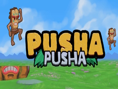 Jwèt Pusha Pusha