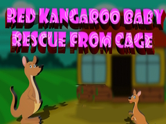 Jwèt Red Kangaroo Baby Rescue from Cage