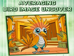 Jwèt Averaging Bird Image Uncover