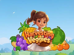 Jwèt Harvesting Veggies