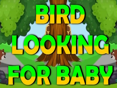 Jwèt Bird Looking For Baby