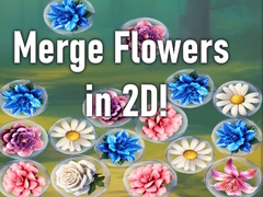 Jwèt Merge Flowers in 2D!