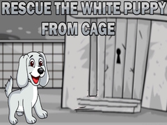 Jwèt Rescue the White Puppy from Cage