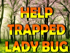 Jwèt Help Trapped Lady Bug