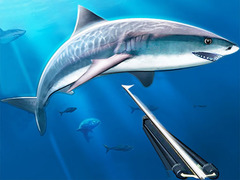 Jwèt Hunting Underwater Spearfishing