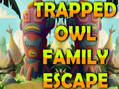 Jwèt Trapped Owl Family Escape