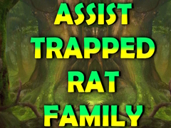 Jwèt Assist Trapped Rat Family
