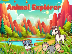Jwèt Animal Explorer 