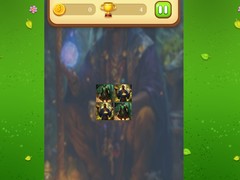 Jwèt Magic Druid Memory Match