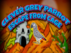 Jwèt Clever Grey Parrot Escape from Cage