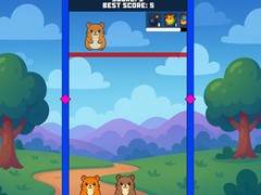 Jwèt Evolution Of Hamsters
