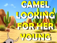 Jwèt Camel Looking For Her Young