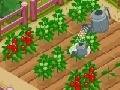 Jwèt New Farmer 2