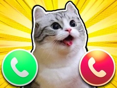 Jwèt Komaru Cat