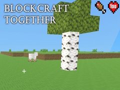 Jwèt BlockCraft Together
