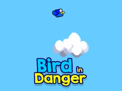 Jwèt Bird in Danger